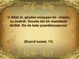 Quran möcüzələri: Yağışın miqdarı