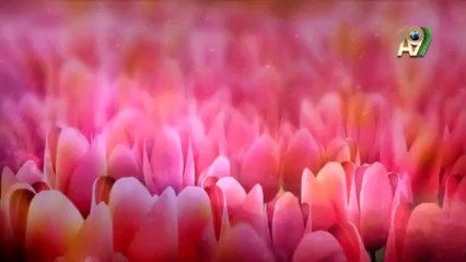 İSLAM'LA EVRİMİ BAĞDAŞTIRMAYA ÇALIŞMAK BEYHUDE BİR GİRİŞİMDİR