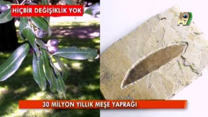 Kardeşlerimiz Darwinizmi çok iyi öğrenip her yerde tartışabilecek duruma gelmeliler.