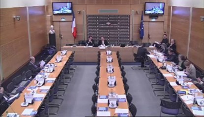 Avis sur l'organisation d'états généraux sur la PMA - Jeudi 11 Avril 2013