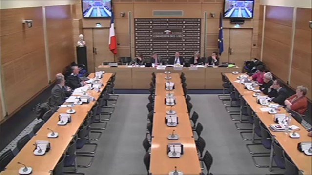 Audition de M. Claude Baland, dg de la police nationale - Mercredi 4 Décembre 2013