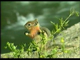 Təkamül nəzəriyyəsinin süqutu və yaradılış həqiqətləri