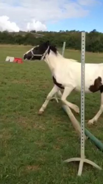 Petit enchainement d''obstacle - Butterfly