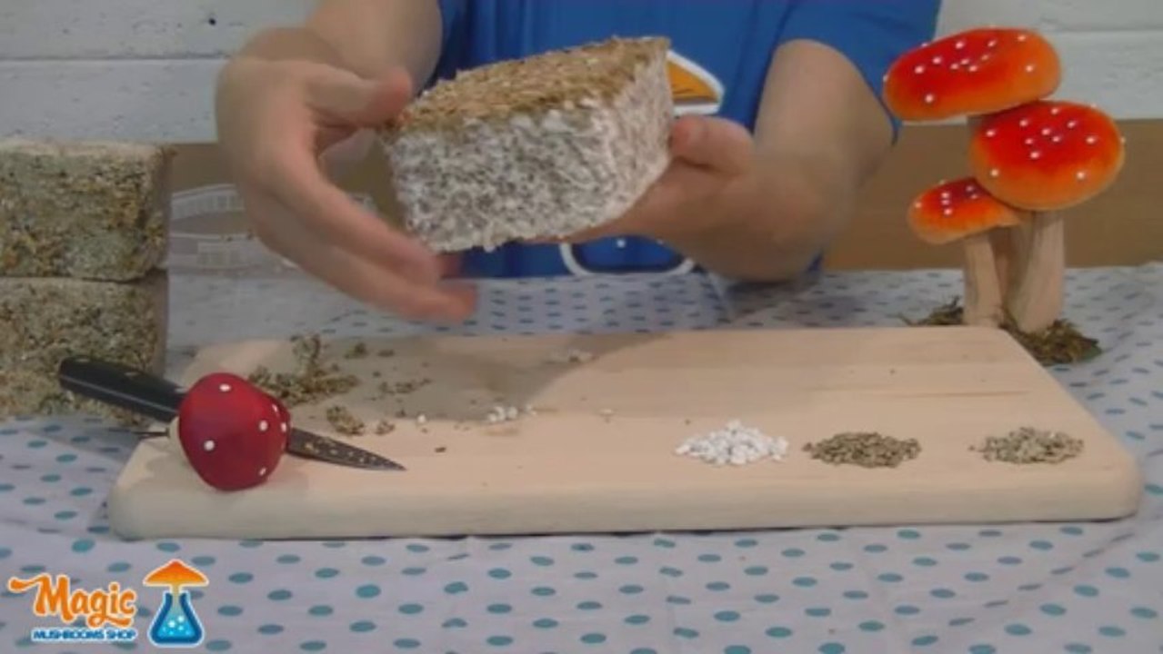 The difference between a standard Grow Kit and the Supa Gro 100% mycelium Grow Box