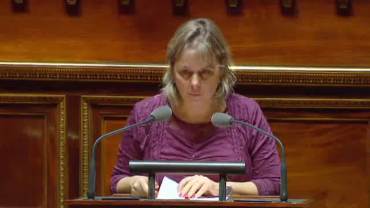 Cécile Cukierman Banques et évasion fiscale