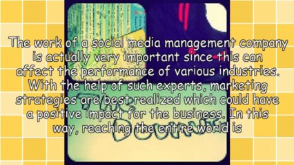 Social Media Management Company For Business Success