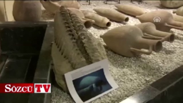 20 milyon yıllık deniz ineği fosili bulundu