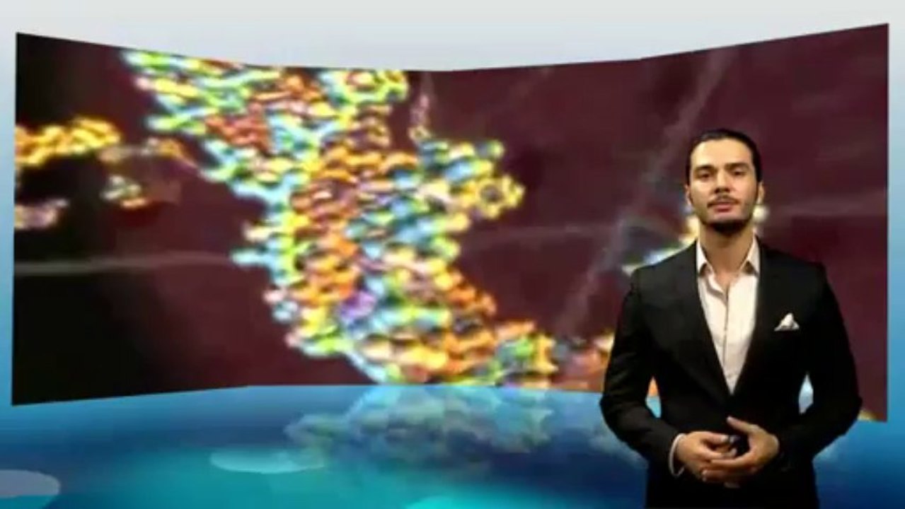 Das Dasein eines einzigen Proteins zerstört die Evolutionstheorie