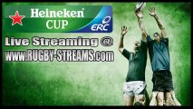Watch Castres vs Ospreys Live Online Stream Heineken Cup