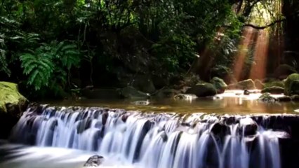 Güneş sisteminde Dünya'nın özel konumu