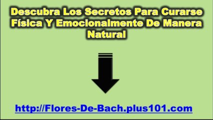 Como Preparar Flores De Bach
