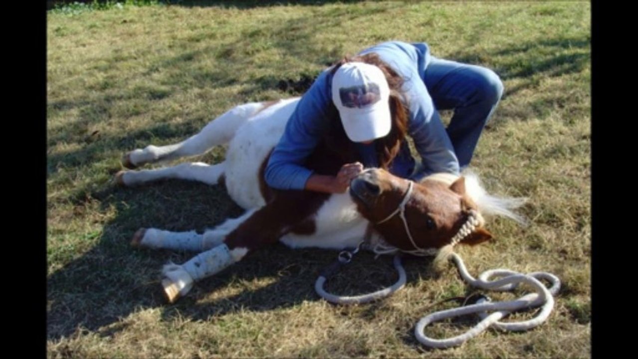 equi-feel37