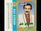 Ali Ayhan - Gez gez şu urfayı gez