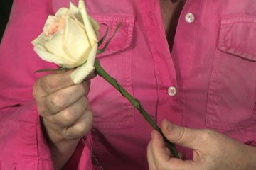 Blumenverdrahtung: Anleitung von Rebecca Cole