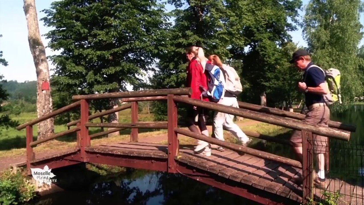 Randonnées au Pays de Bitche
