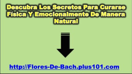 Terapia De Flores De Bach