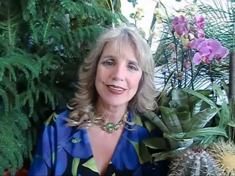 Weeds of Selfishness