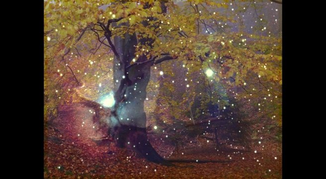 BORYS ŁAWRENIW - CZUŁOŚĆ - НЕЖНОСТЬ