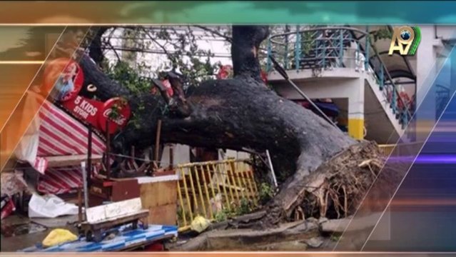 Filipinler'de yaşanan Tayfun Hz. Mehdi (as)'ın çıkış alametlerindendir.