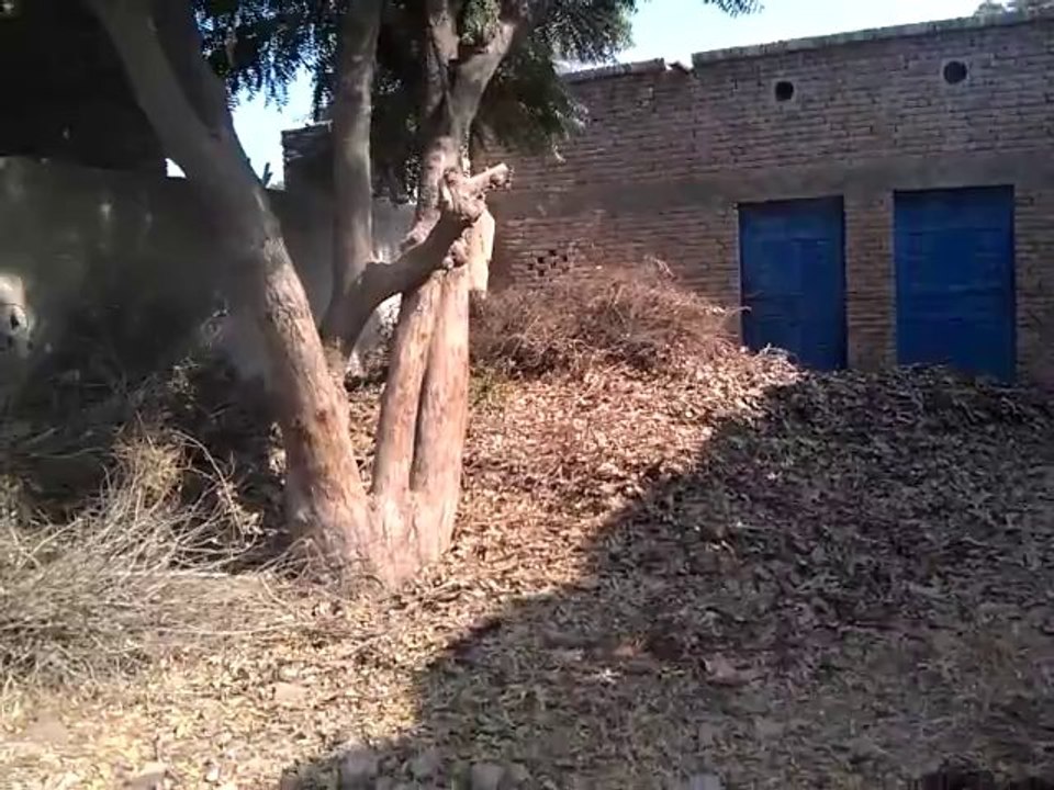 VIDEO0005
