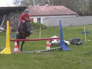 rasta adieu je taime