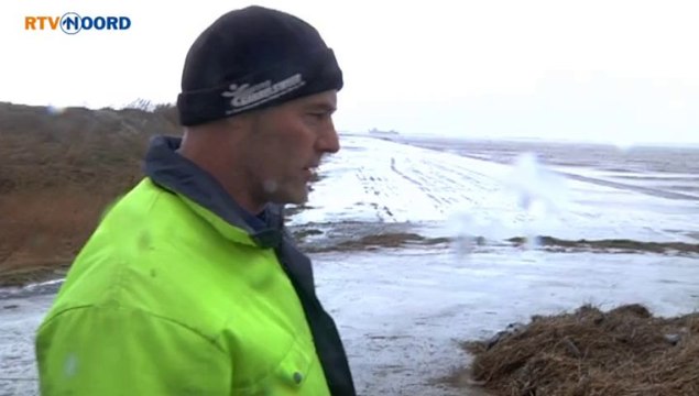 Dijkinspecteur: Hij is overal mooi greun - RTV Noord