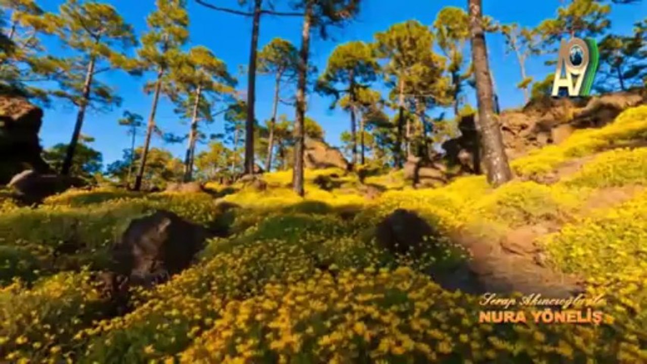 Serap Akıncıoğlu ile Nur'a Yöneliş - 4. Bölüm (Gençlik Rehberi)