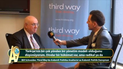 Bill Schneider, Third Way'de Kıdemli Politika Analizcisi ve Kıdemli Politik Danışman