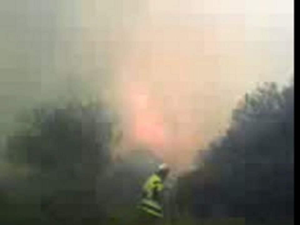 Feu foret