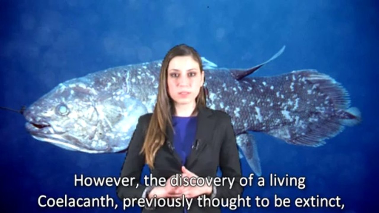 The Coelacanth