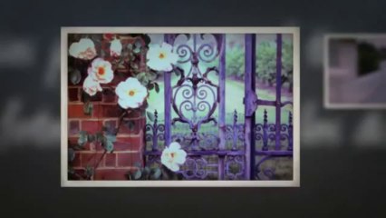 The Fence Guys (423) 333-6132