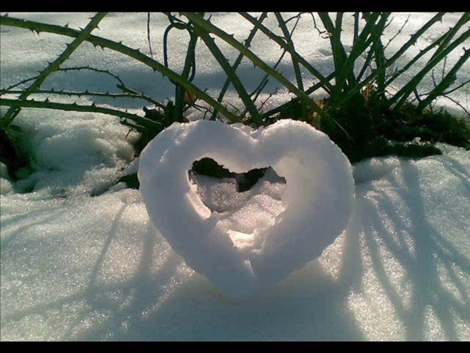 orhan gencebay bilseydim