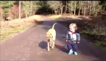 Baby boy walking his dog