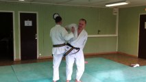 Nihon tai-Jitsu: Défenses contre mae geri