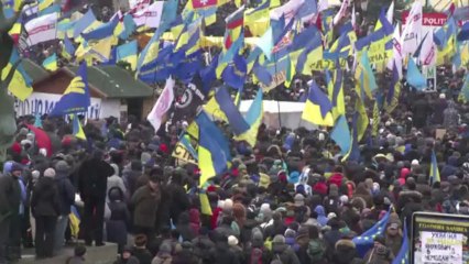 Ukraine's ex-PM Tymoshenko's daughter addresses protest