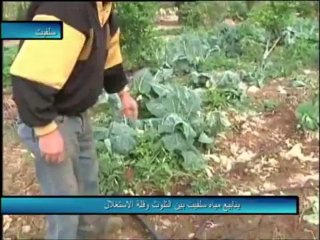 فلسطين هذا الصباح 8-12-20113 ج2