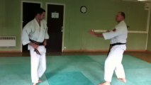 Nihon Tai-Jitsu: Défenses contre mawashi geri