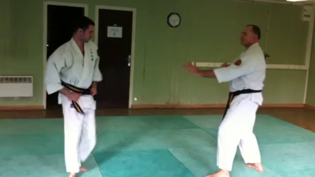 Nihon Tai-Jitsu: Défenses contre mawashi geri