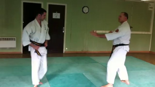 Nihon Tai-Jitsu: Défenses contre mawashi geri