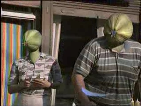 Pub Renault Twingo Oasis (Fleur)