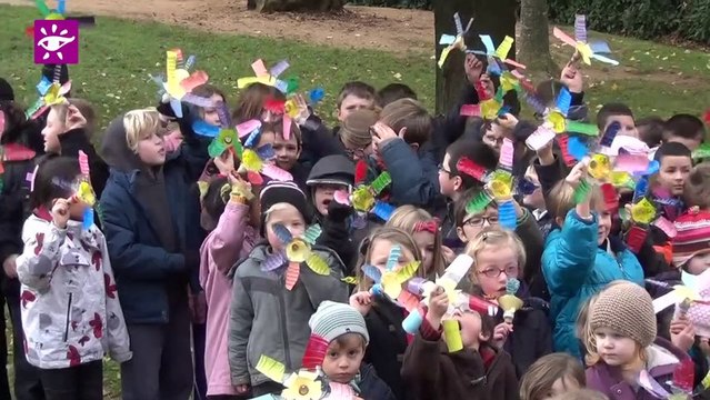 Téléthon 2013 : Les moulins de l'espoir à Forcé (53)
