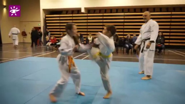 Téléthon 2013 : Danse country et karaté à Trans en Provence (83)