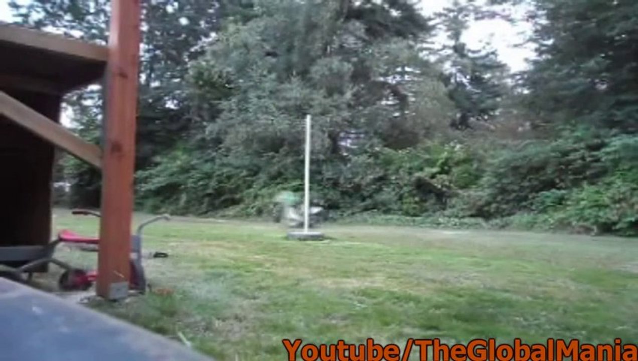 Klx110 Dirtbike Wheelies + Crash