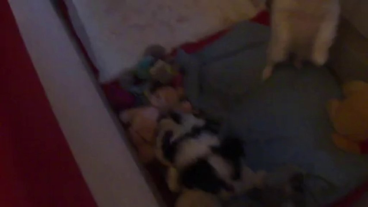 M4H03852 MON PIRATE!!!!