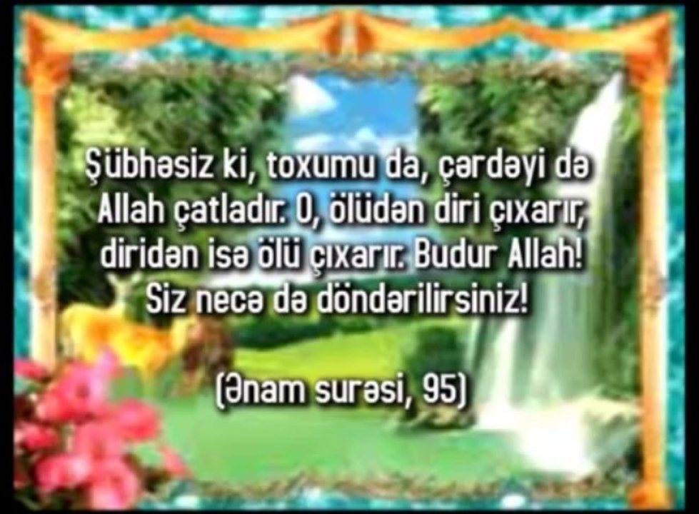 Toxumdakı yaradılış möcüzəsi