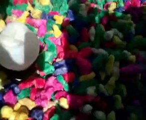 3) BRESIL 2012  sirinhaèm dans la         famille            14,38 min