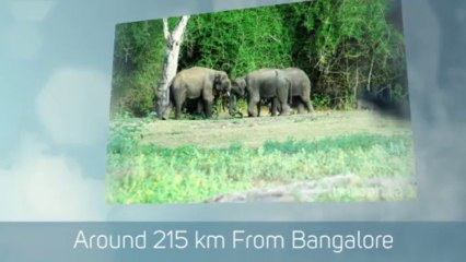 Top Five Corporate Getaways Around Bangalore