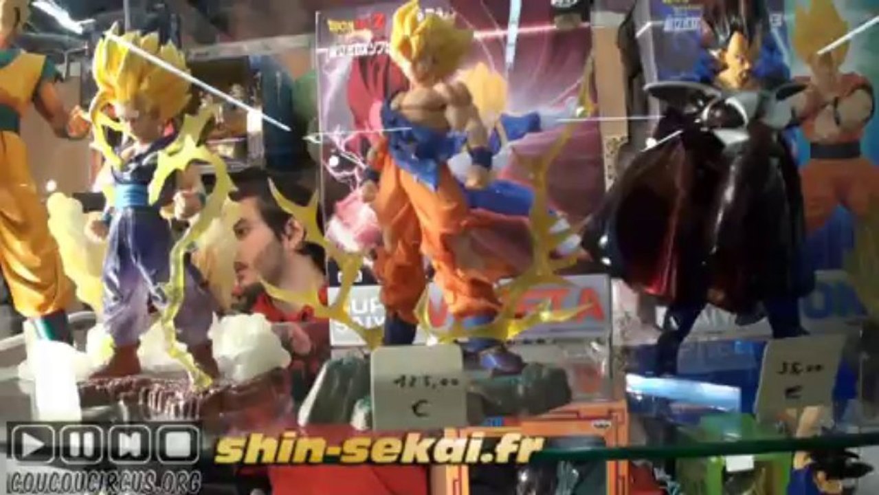 Toulouse Game Show 2013 Reportage (23/) shin-sekai.fr