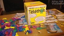 Téléthon 2013 : 30h de direct et d'animations pour récolter plus de 88 millions d'euros