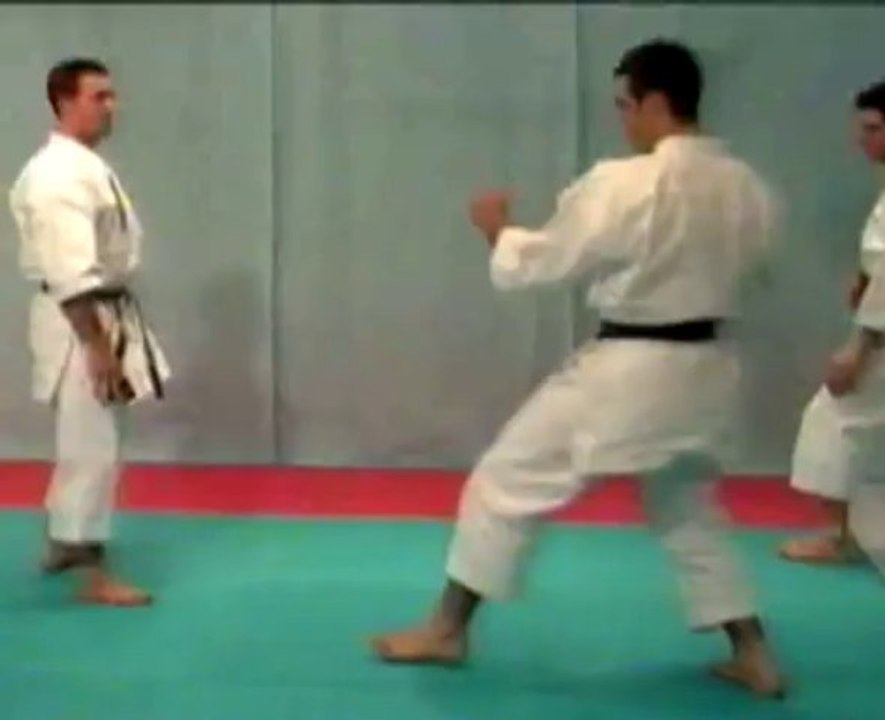 Kata Shotokan & Bunkai - 02 - Heian Nidan